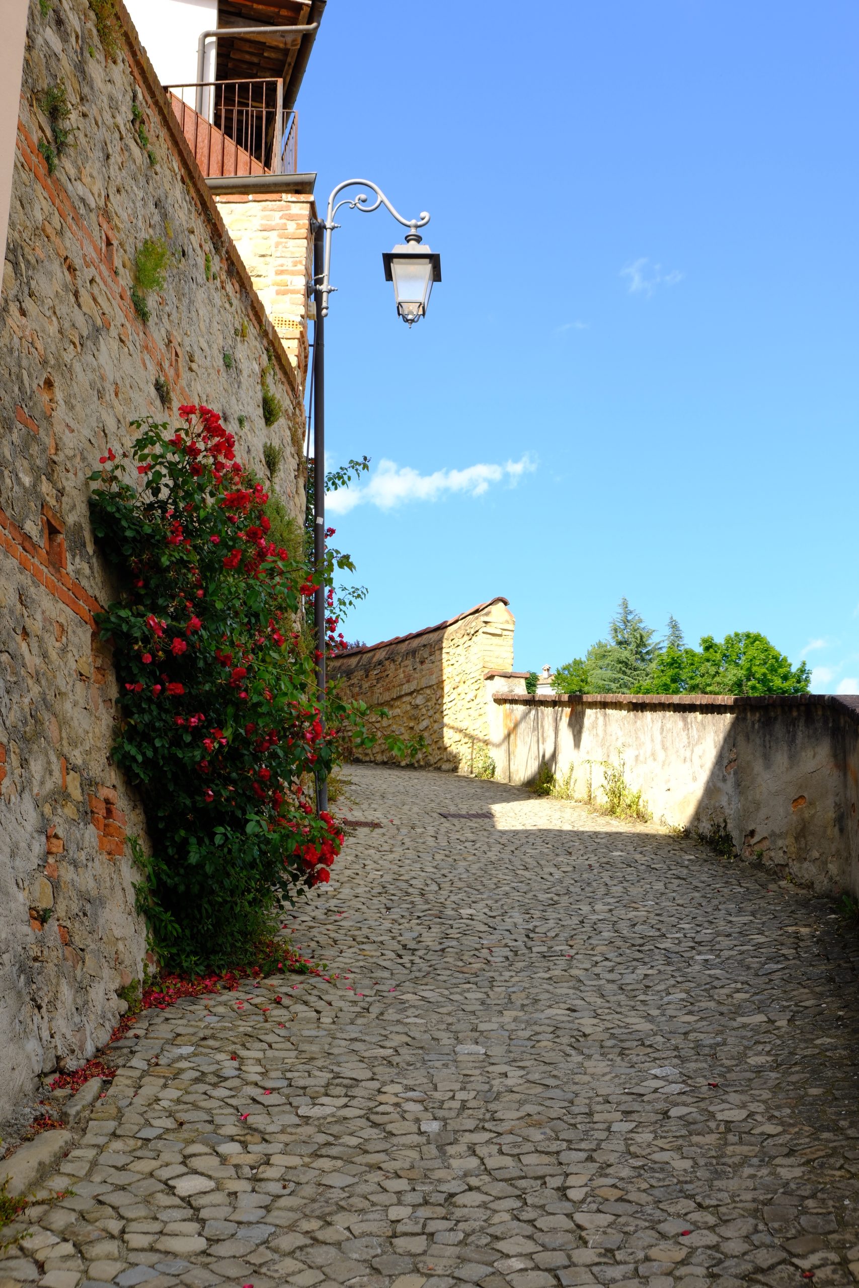 Quiet cobblestone lane bordered by stone walls and red flowers in a Langhe village.