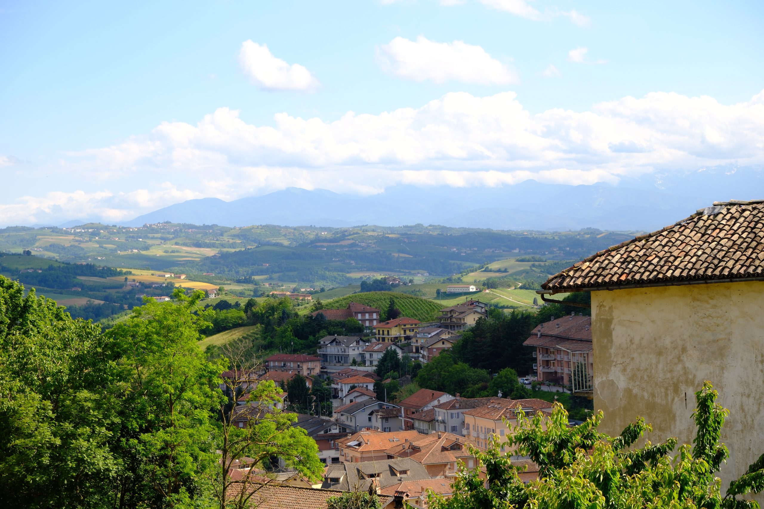 Hill town and layered green landscape of the Langhe under a bright summer sky.