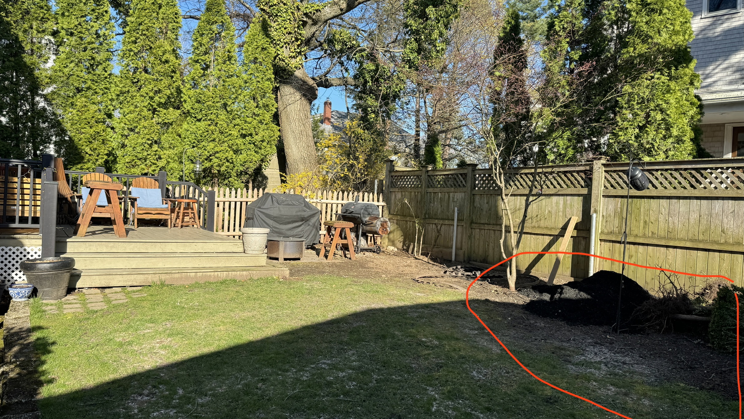 Shaded corner of a New England backyard beneath mature oak trees before the garden renovation.