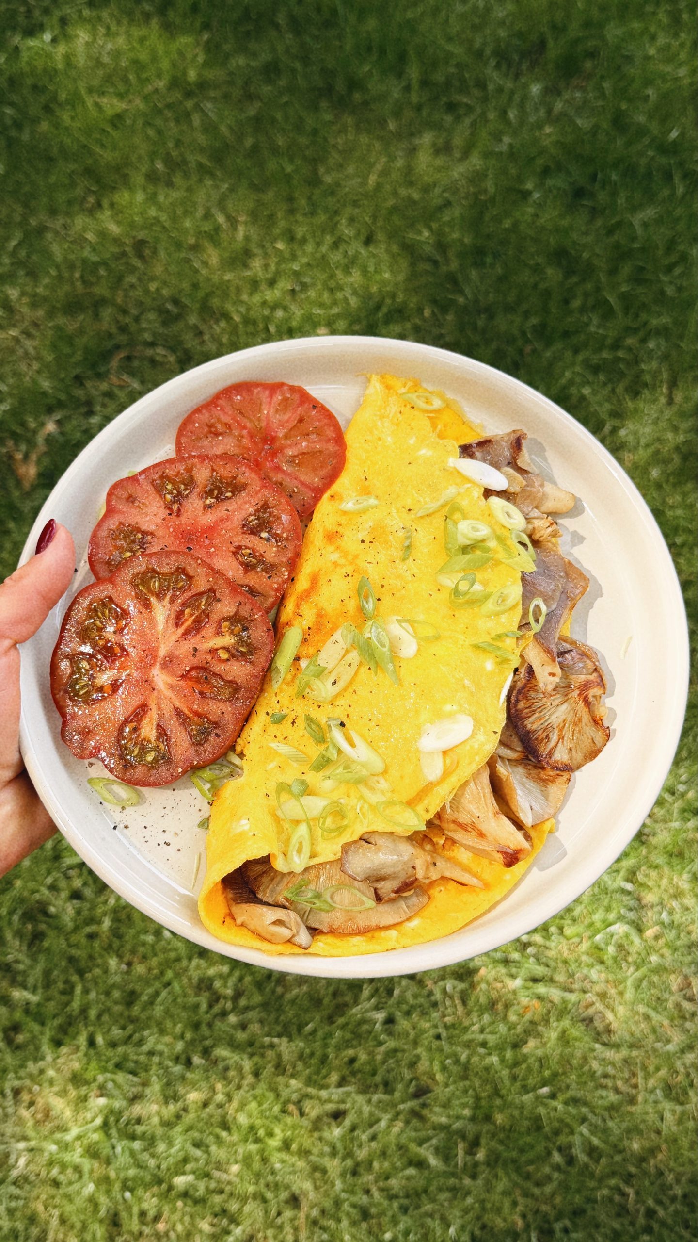 Golden omelet filled with backyard oyster mushrooms and served with scallions and sliced tomatoes.