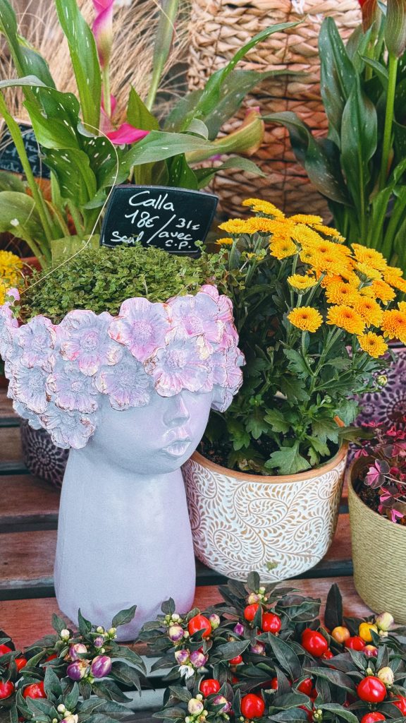 Colorful flowers and decorative planters displayed outside a flower shop in Maisons-Laffitte.