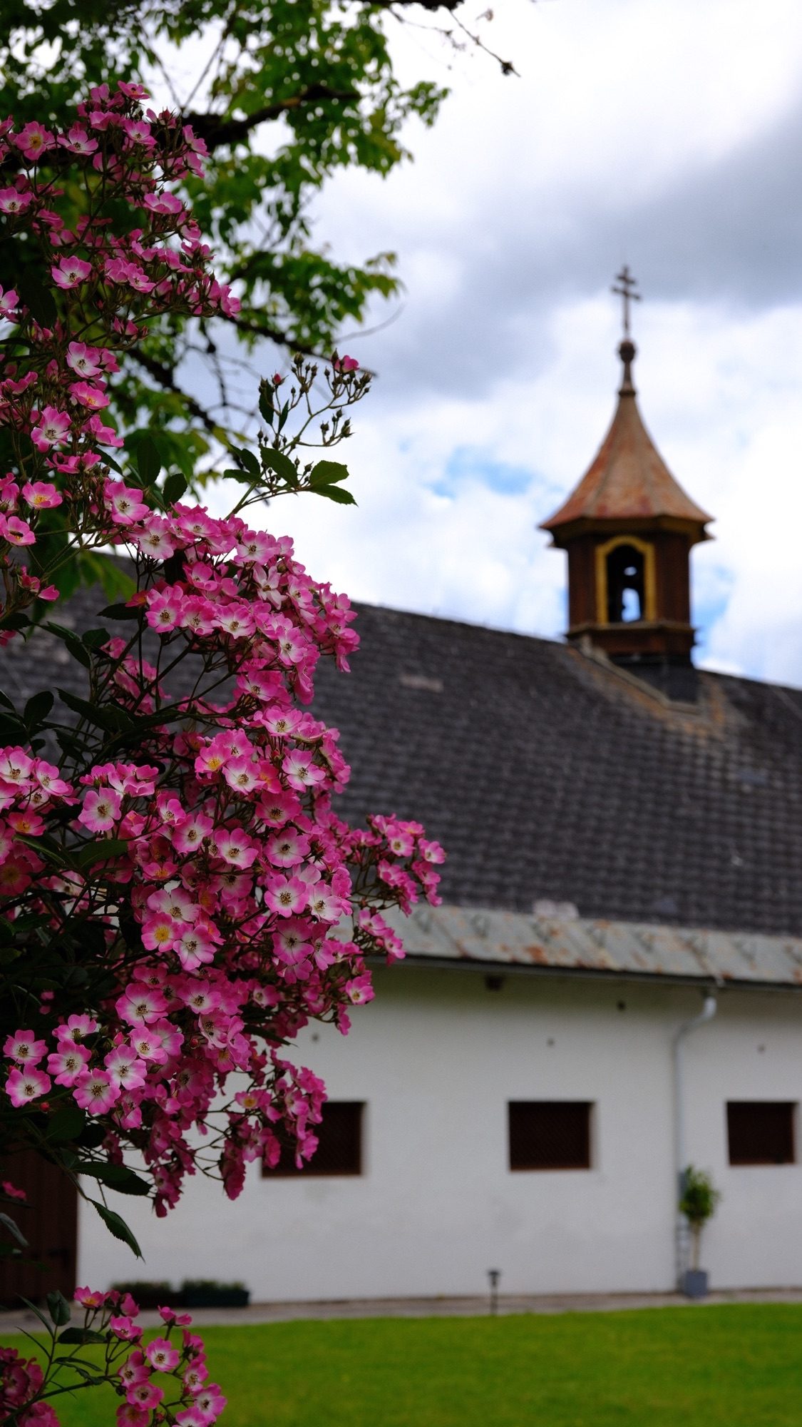 Pink flowers framing the small chapel at Gasthof Seehaus beside Almsee.