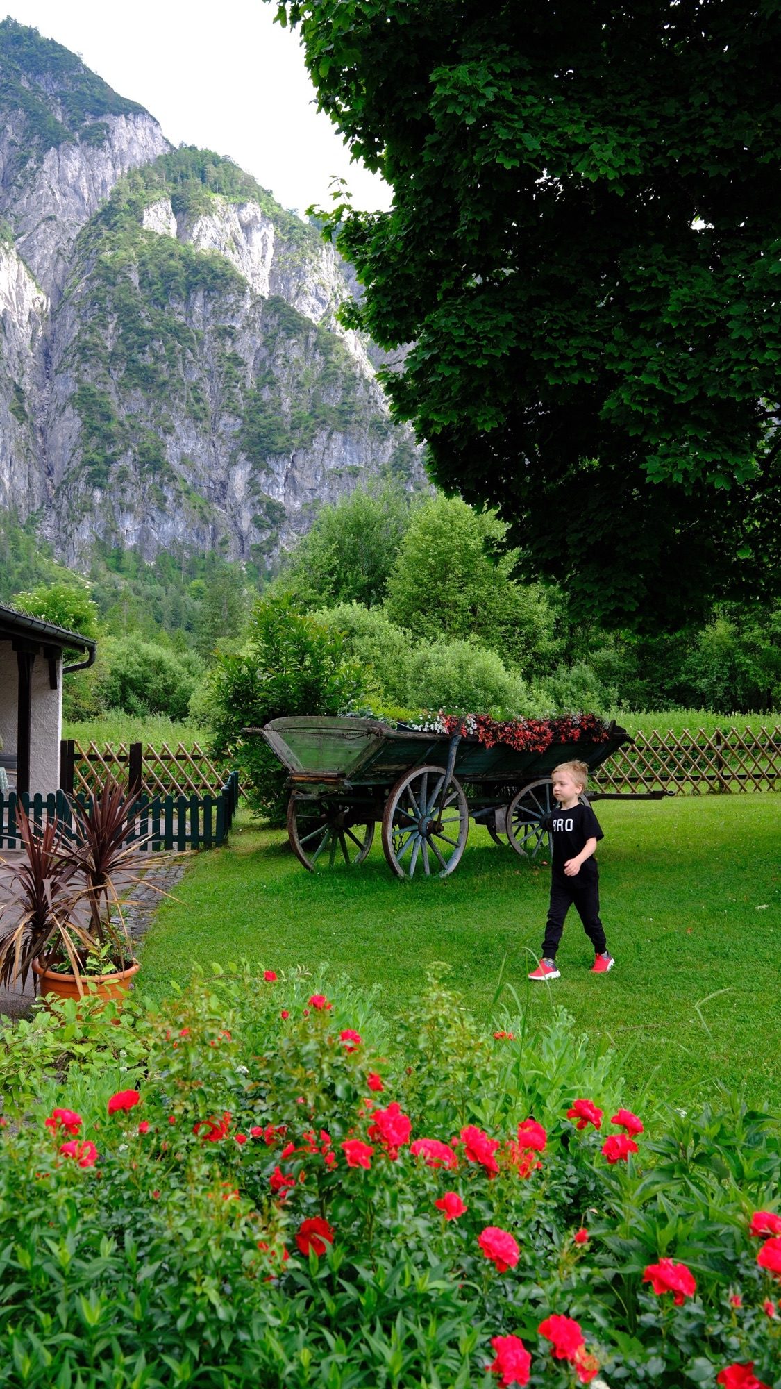 Flower-filled garden and an old wooden cart at Gasthof Seehaus beneath the mountains.