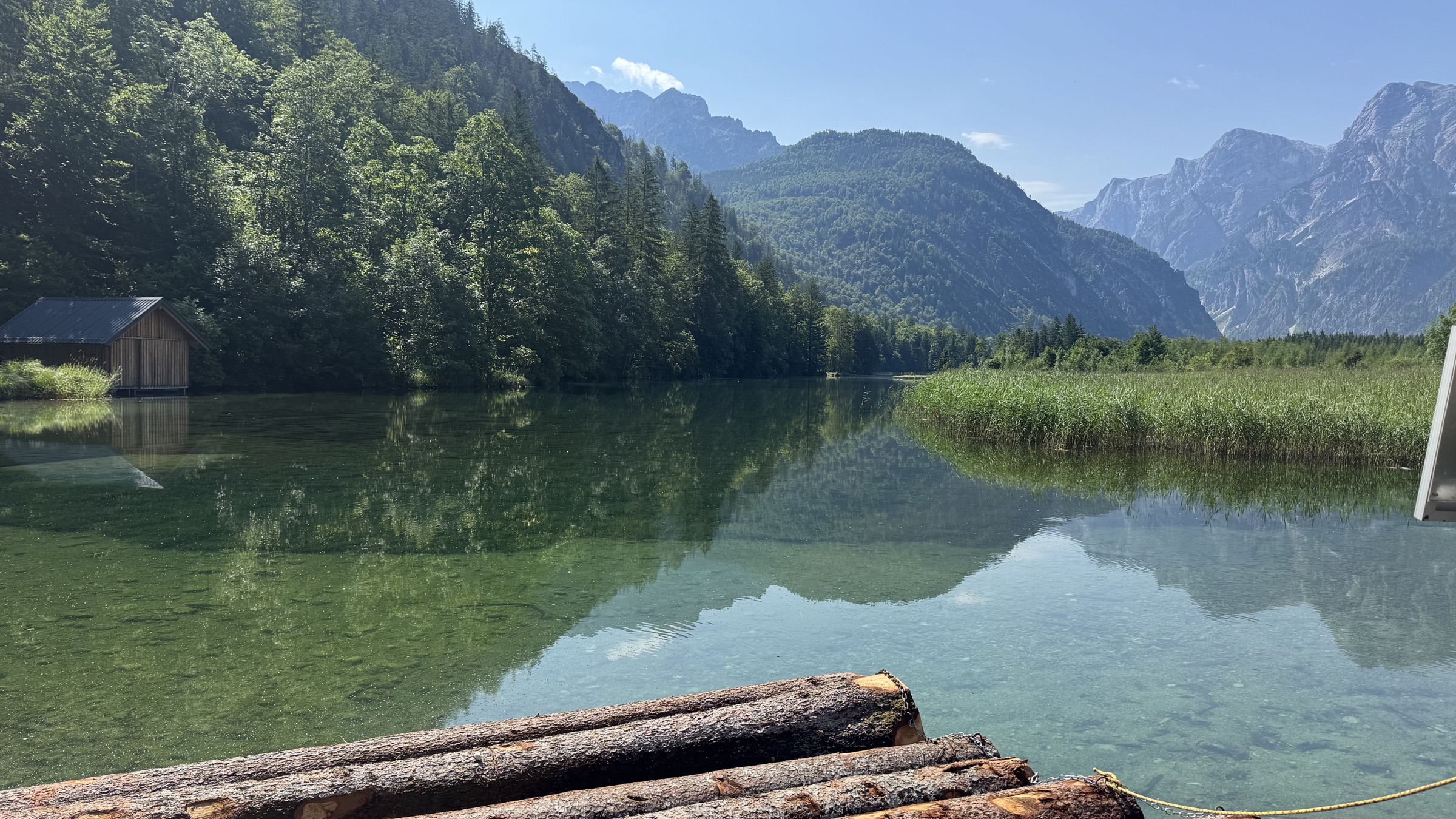 Clear water, logs, and mountain reflections along the shore of Almsee.