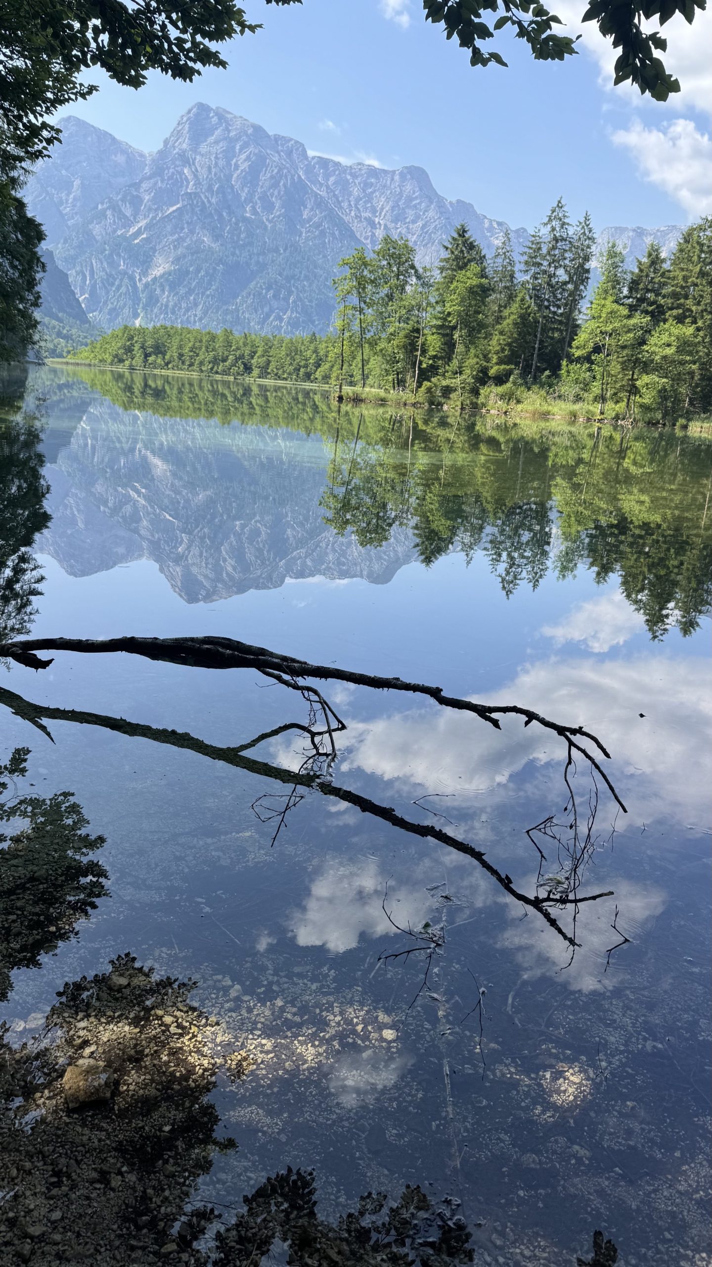 Almsee reflecting the forest and mountains through overhanging branches.