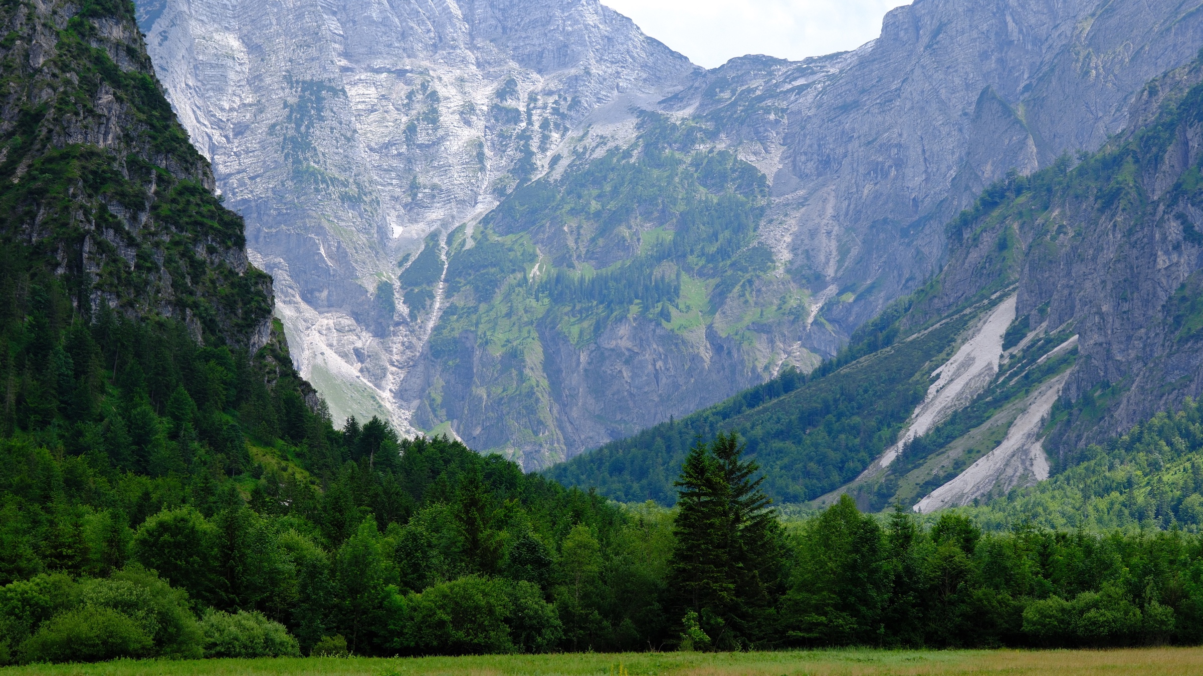 The limestone wall of the Totes Gebirge rising beyond the meadow and forest at Almsee.