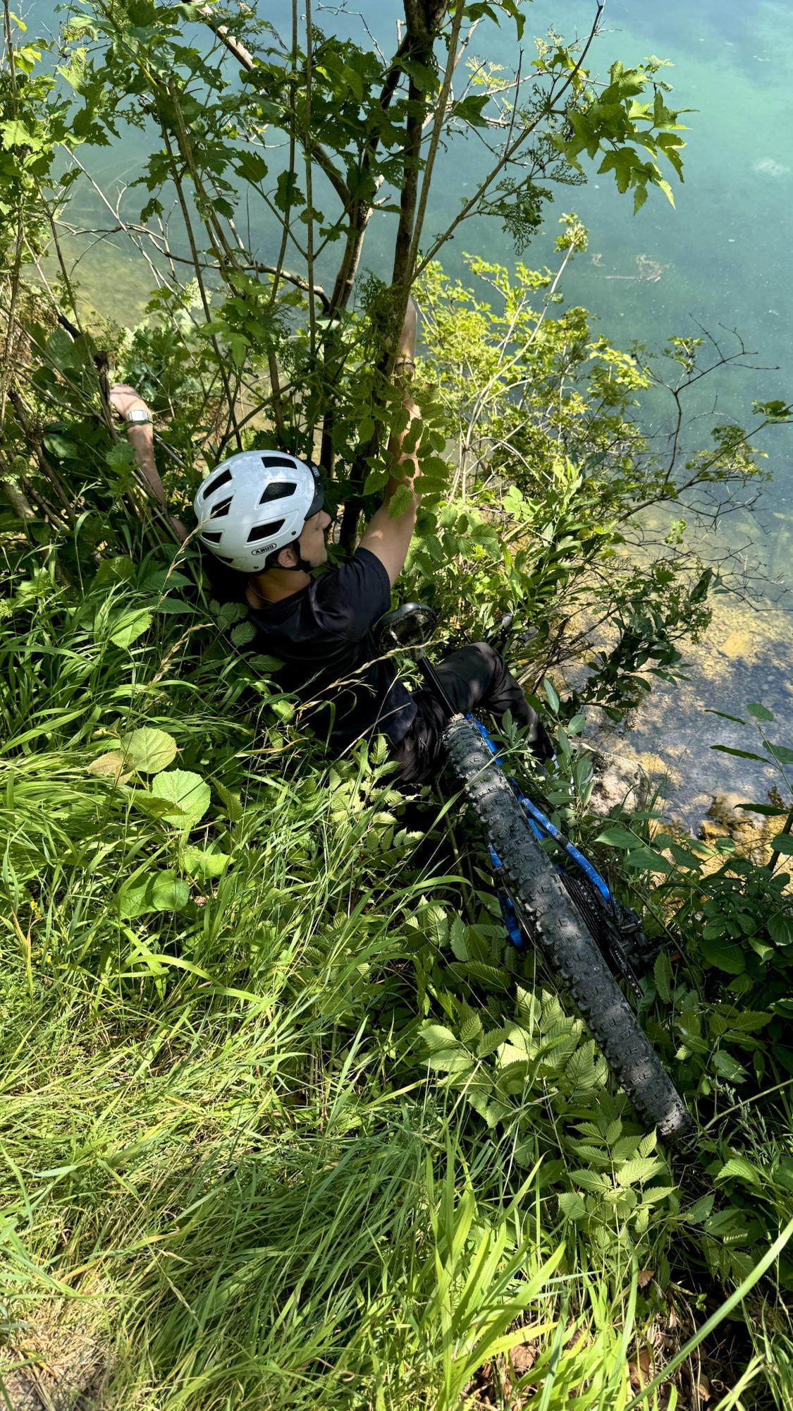 My older son holding onto a tree above Almsee after his bicycle slipped from the path.