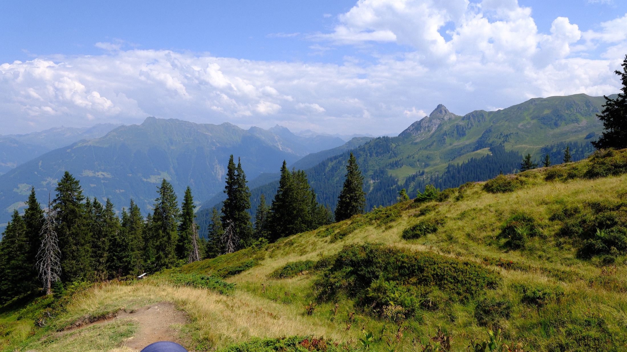 The Golmi research trail curving through a sunlit mountain meadow