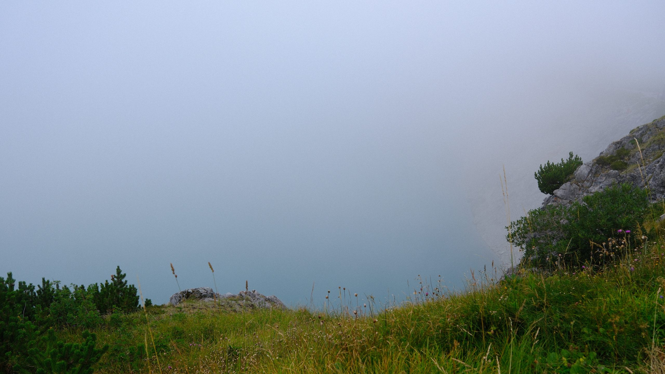 Turquoise Lünersee emerging below rock and dwarf pine through pale mist.