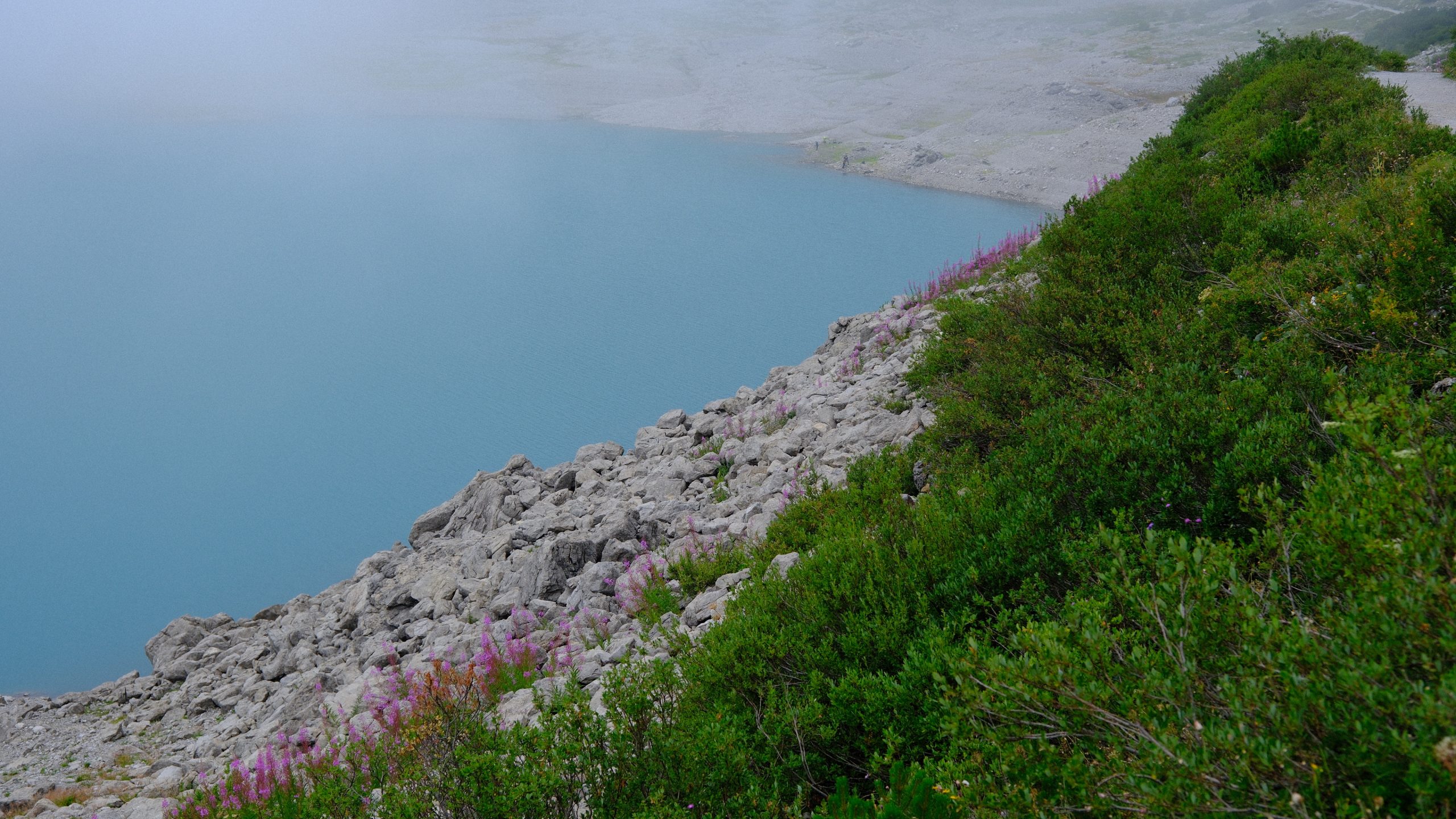 Turquoise lake water framed by green mountain shrubs and pink fireweed.