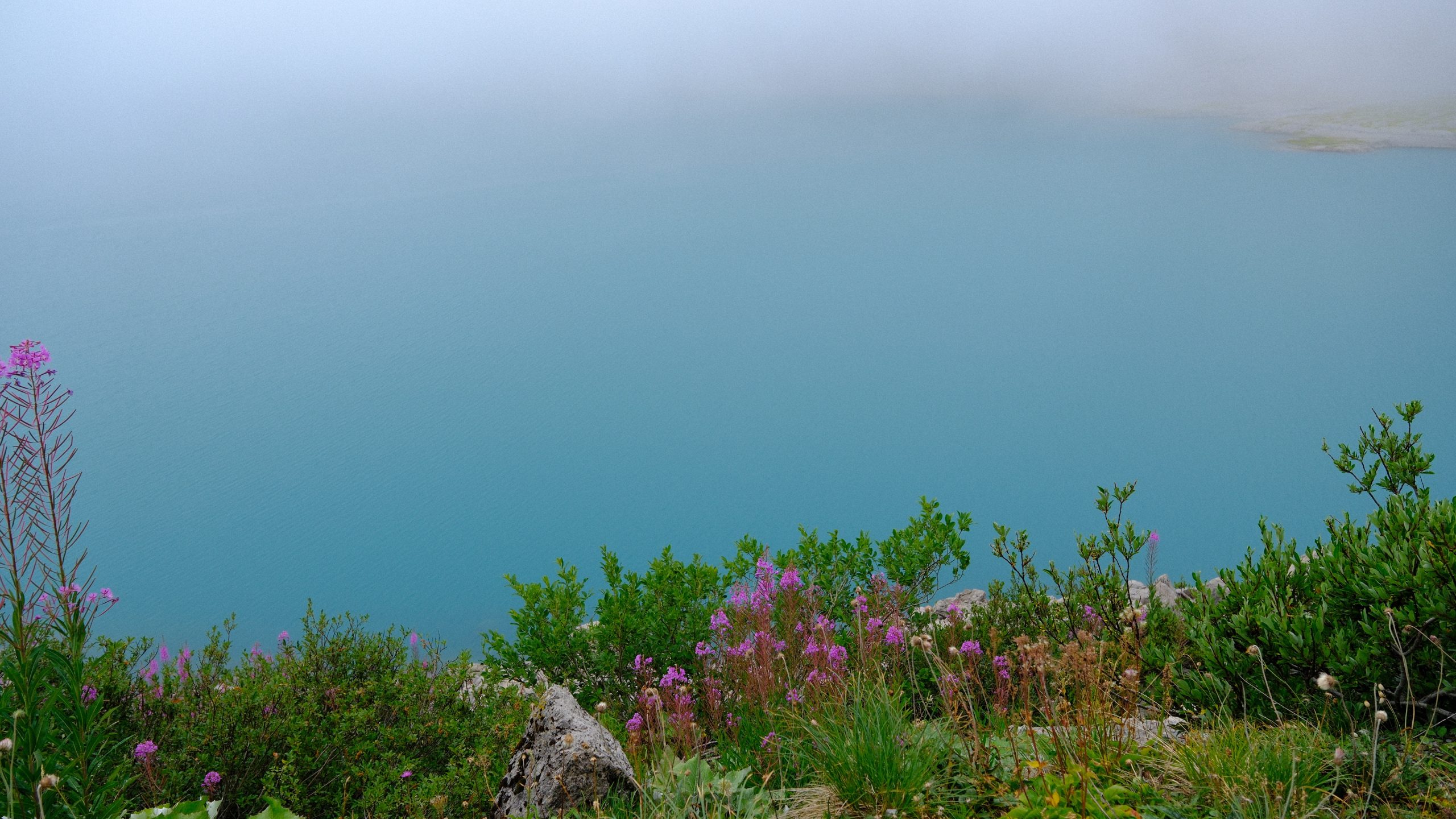 Pink fireweed above the blue-green water of Lünersee.