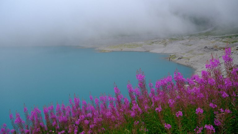 The Lake That Kept Its Secrets in the Rain