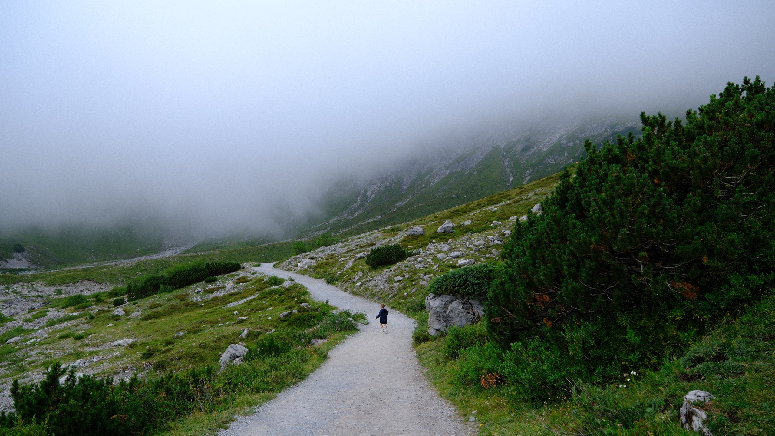 The circular Lünersee path descending between shrubs towards a mountain hidden by cloud.