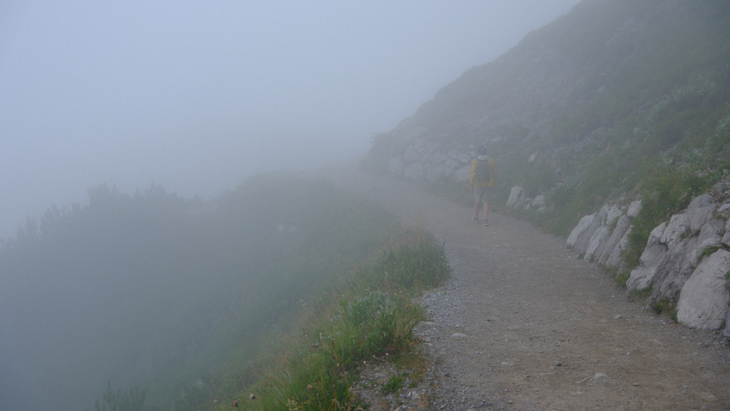 A solitary path curving through shrubs and rocks in dense mountain mist.