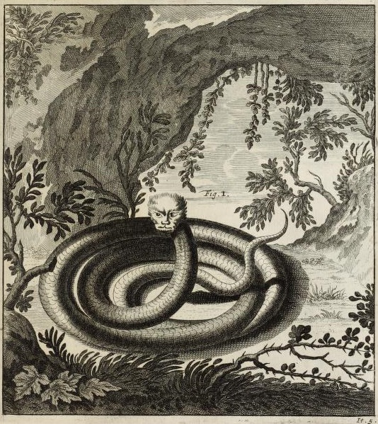 An eighteenth-century engraving of a coiled serpent with a cat-like head in an Alpine landscape.