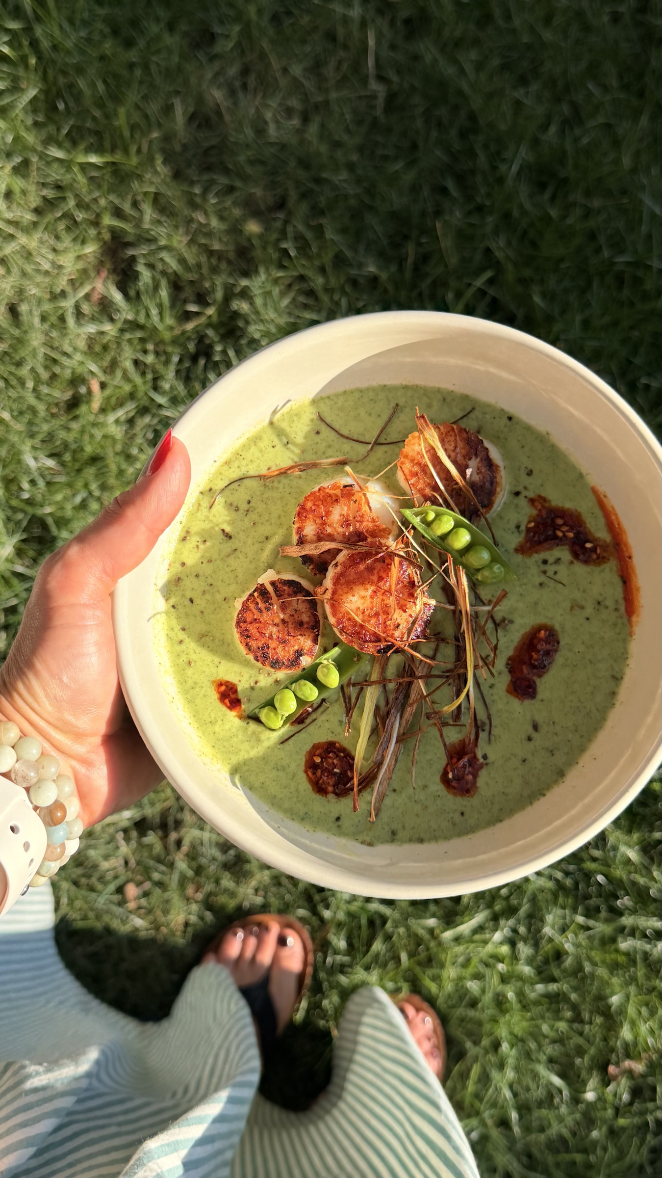 Warm Zucchini Velouté