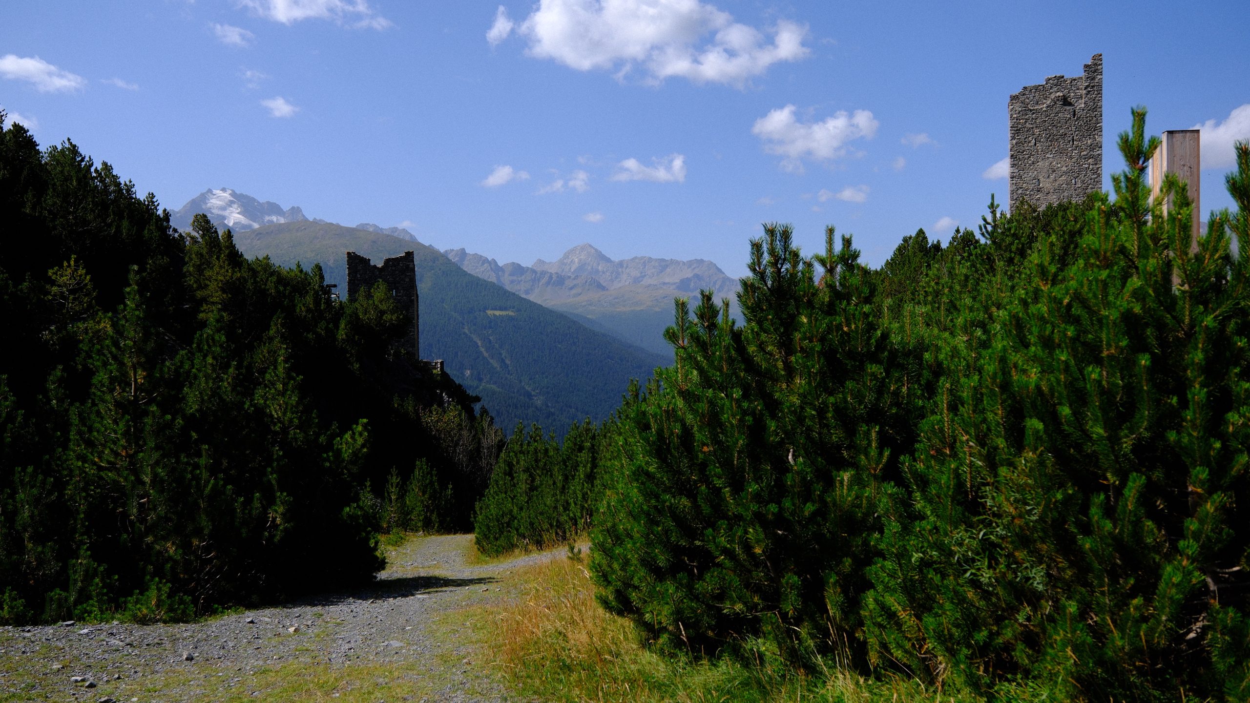 The twin Torri di Fraele rising separately above mountain pines