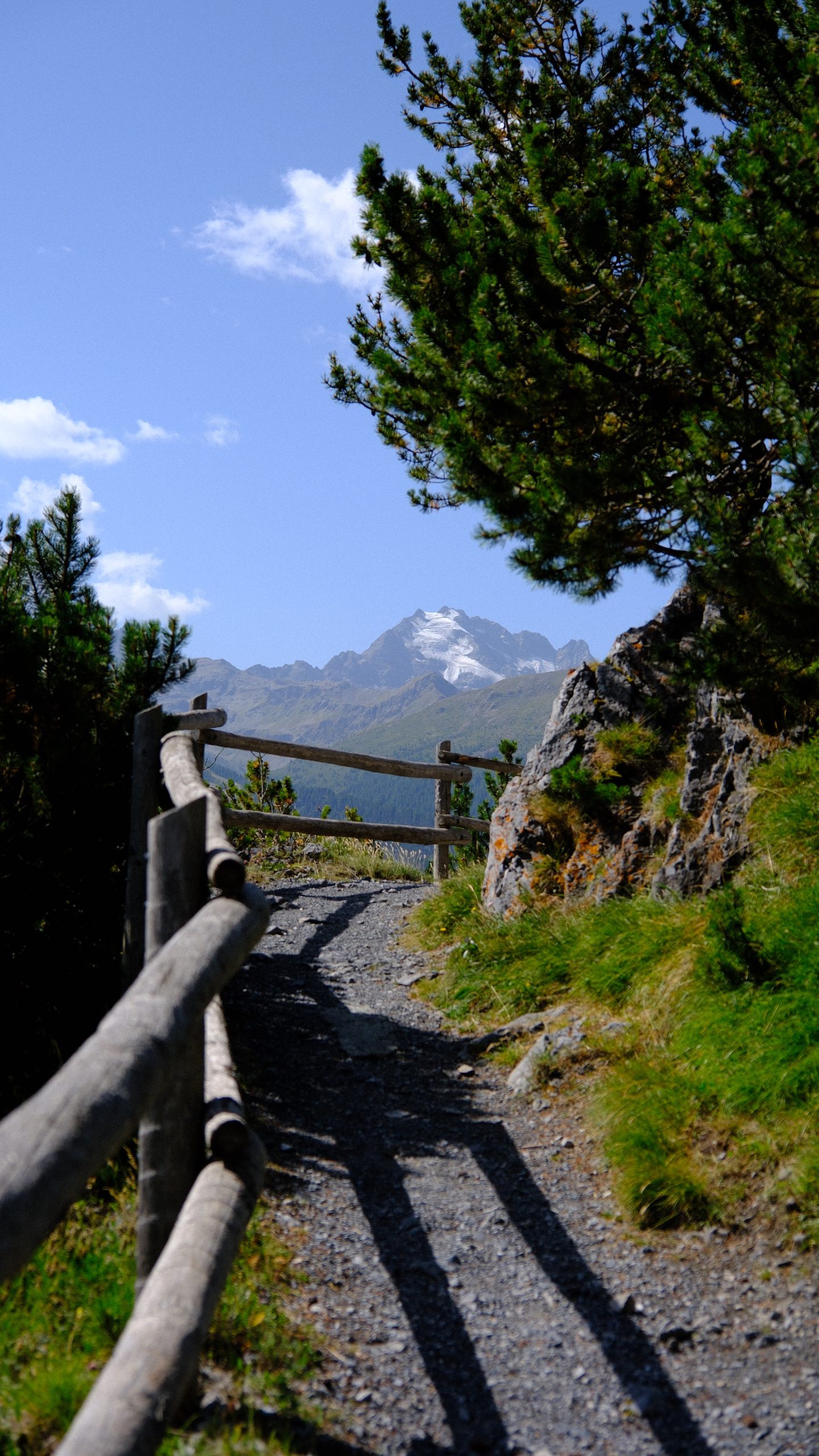 Mountain path winding between pines near the Torri di Fraele