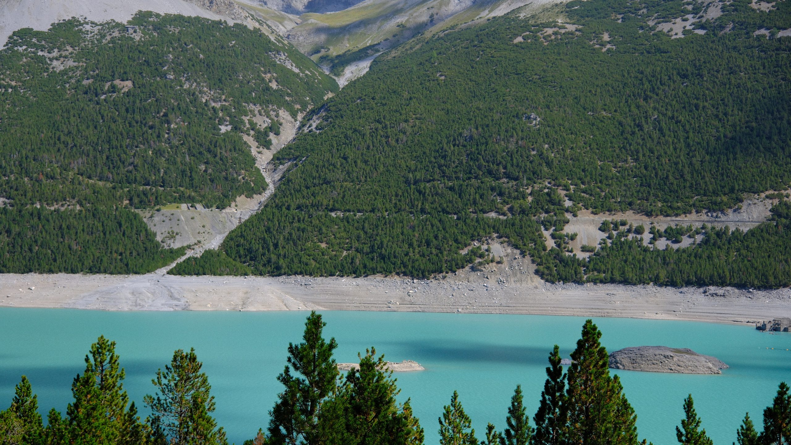 Turquoise reservoir beyond a line of alpine pines