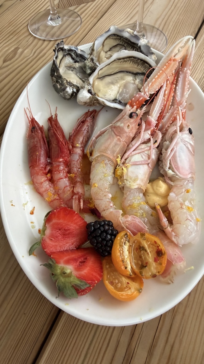 Raw seafood plate with oysters and shellfish at Alpen Hotel