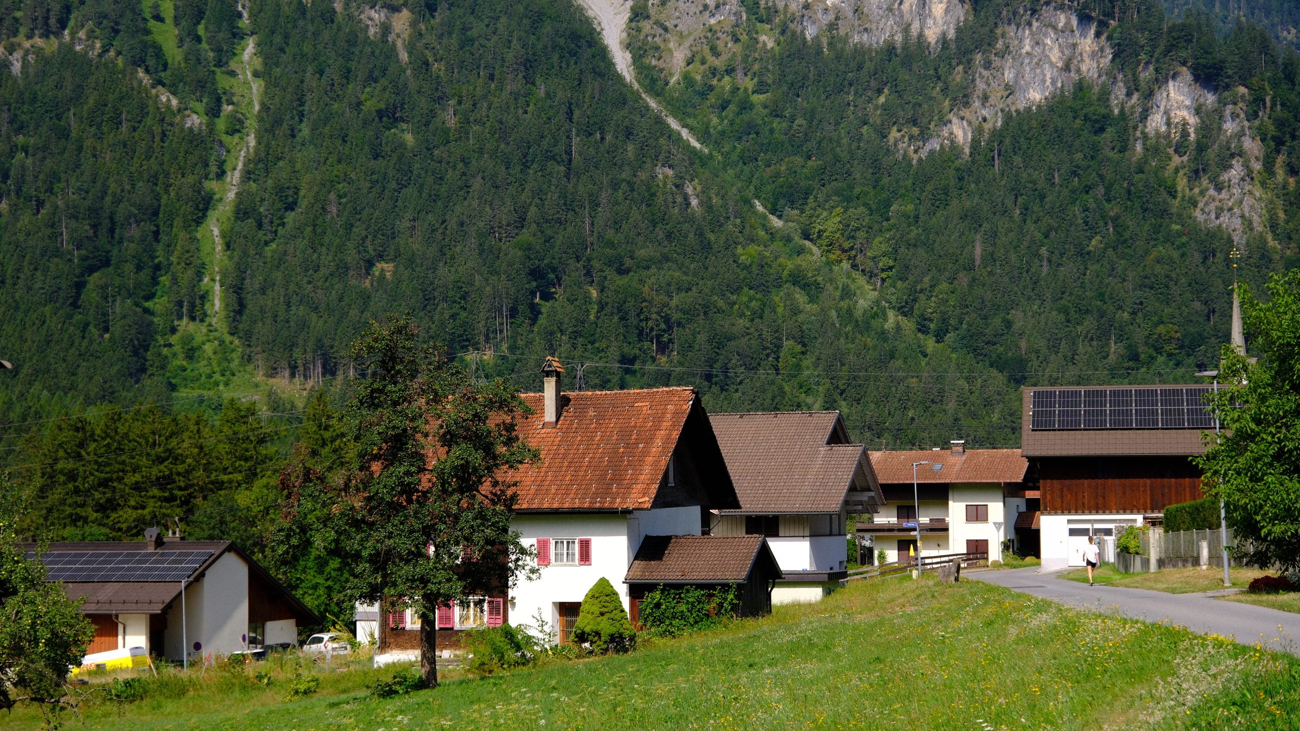 Houses and green meadows beneath a densely forested mountainside in Schruns, Austria
