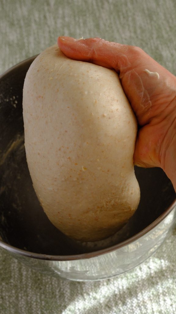 Smooth elastic oat bran dough stretching from a hand above the mixing bowl