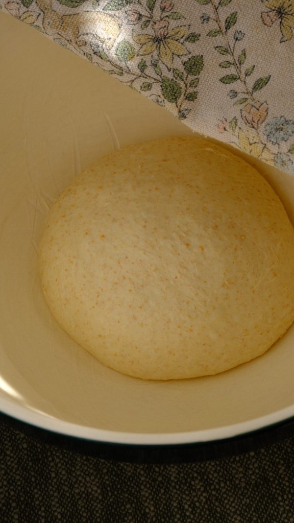Smooth bread dough resting in a covered bowl before its first rise
