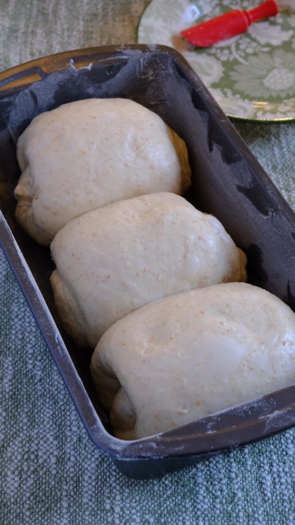 Three rounded portions of bread dough arranged seam-side down in a greased loaf pan